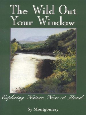 cover image of The Wild Out Your Window